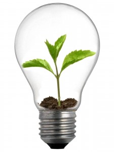 energy-light bulb