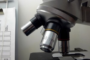 science_viewCN_0156