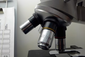 science_viewCN_0156